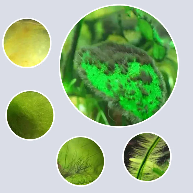 Produktbild 6